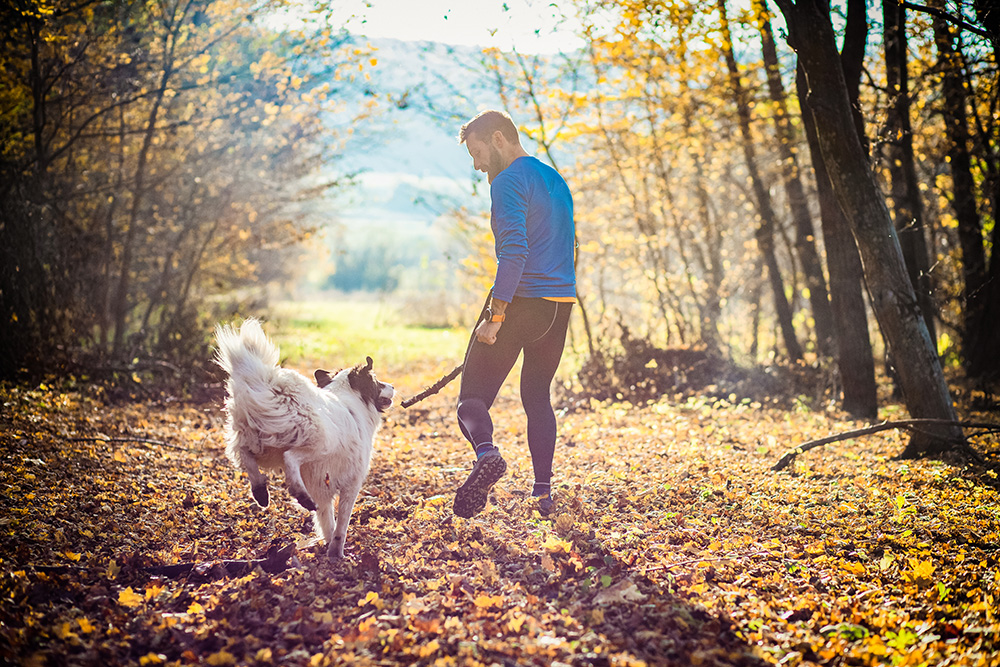 Happy,Dog,And,Man,Playing,In,Autumn,Forest