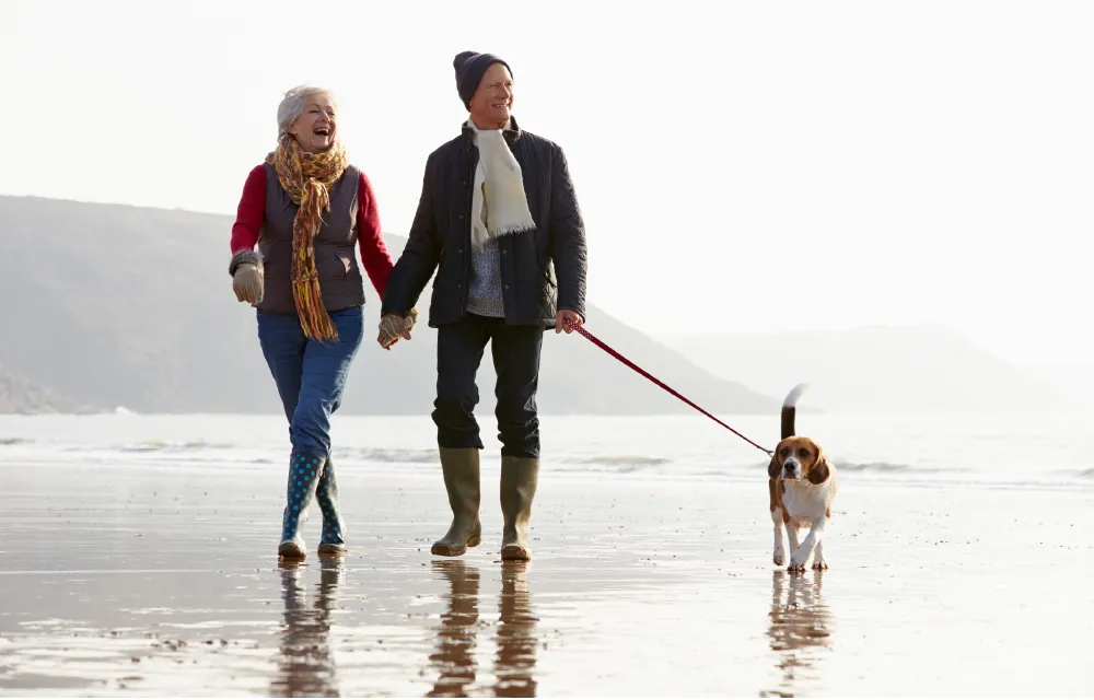 Why Is Making A Will Important